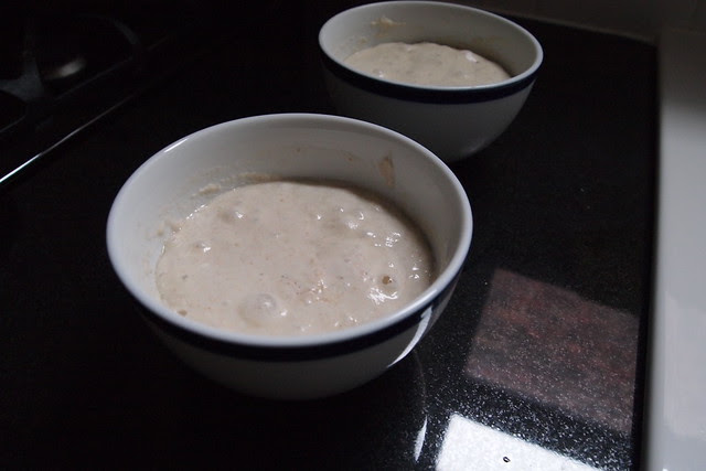 Leaven and poolish