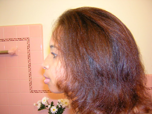 Has anyone ever had a dominican blowout? — CurlTalk