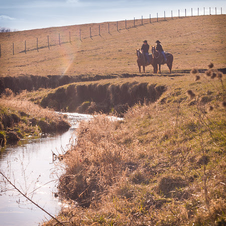 Couple horseback riding near creek at Perks Ranch during winter engagement photos in Rockford, IL