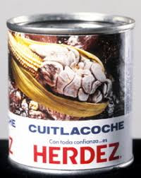 http://t1.gstatic.com/images?q=tbn:ANd9GcTbGg_hIuiCfB32egrphq9eYbZFRe0dicIyncLM2CEt1Owr19NyFw