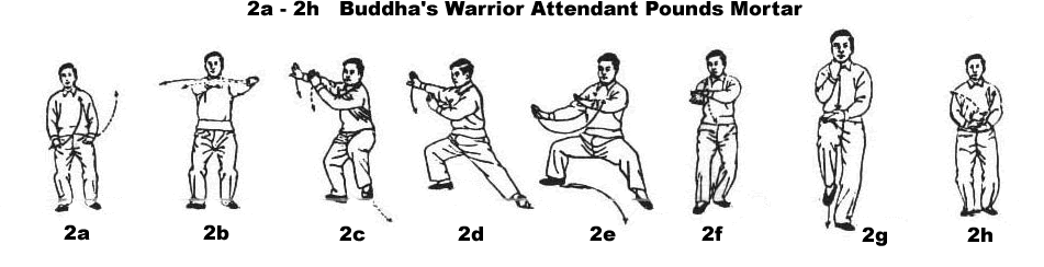 Image result for jin gang dao tui