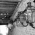 Bevolo Covington La : Cynthia cowartcarolyn applebaum, 55a bevolo, ~66.