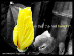 threalbeauty