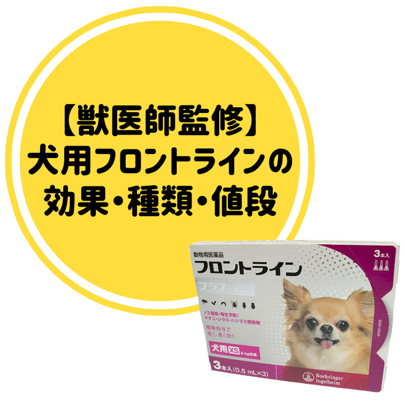 獣医師監修 犬用フロントラインの効果や種類 値段は 駆虫薬で愛犬をノミダニから守ろう