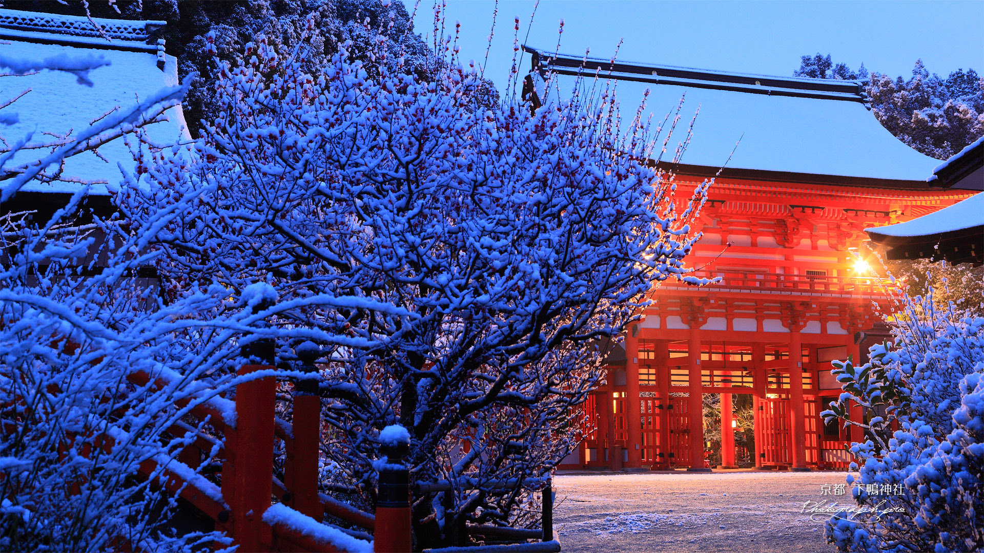 下鴨神社 雪化粧の楼門 の壁紙 19x1080