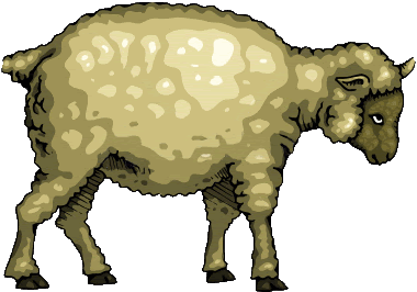 little lamb