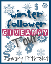 Winter Follower Giveaway Tour