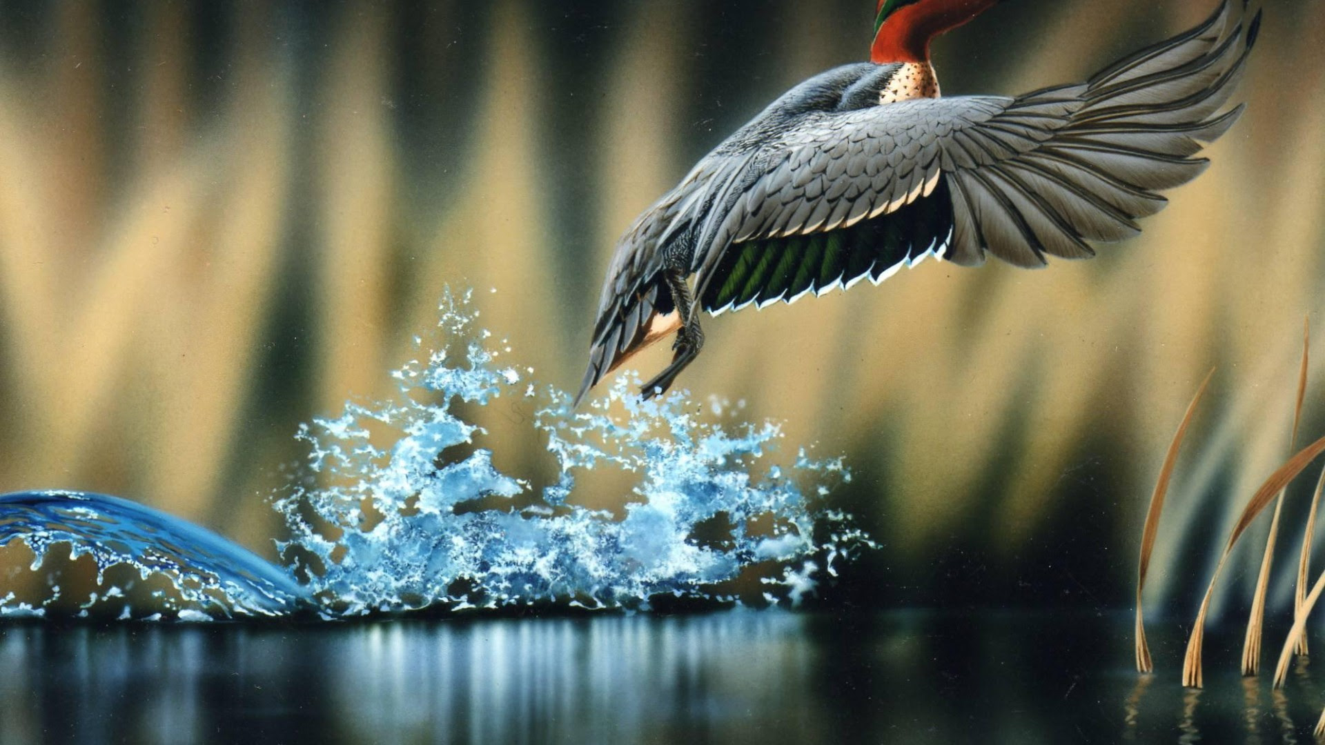 Wildlife Wallpaper - HD Wallpapers