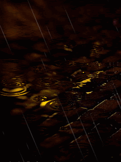  photo 0088.gif