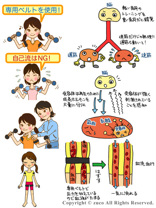 All About 加圧トレーニングイラスト制作 お仕事作品 アトリエ ズコ