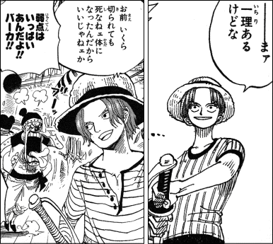 ワンピース 赤髪シャンクスの謎