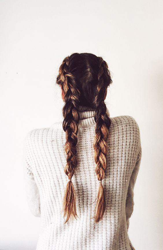 17 Chic Double Braided Hairstyles You Will Love  Styles 