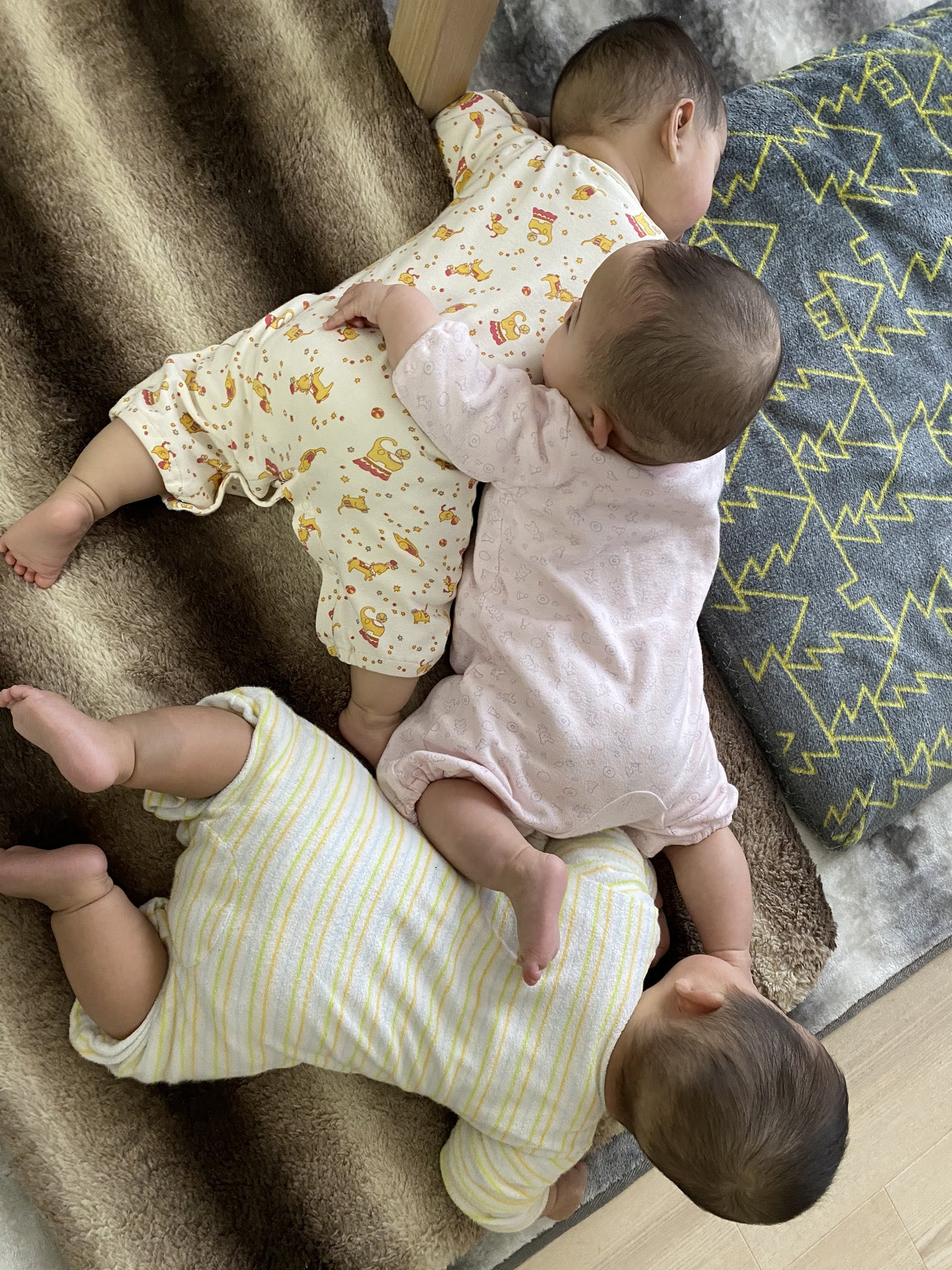 赤ちゃんってなんで見てるだけであんな癒されるんだろう