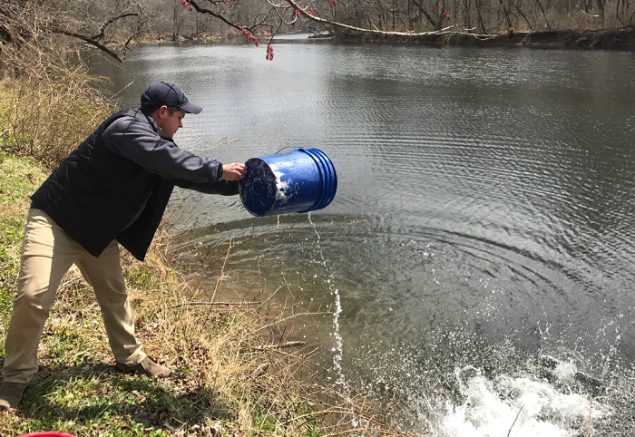 State Stocks Trout In Newtown Twp., Upper Makefield ...