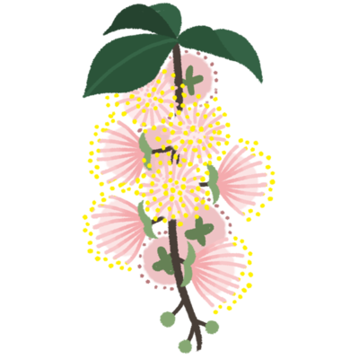 サガリバナの無料素材 イラスト沖縄 おきなわ