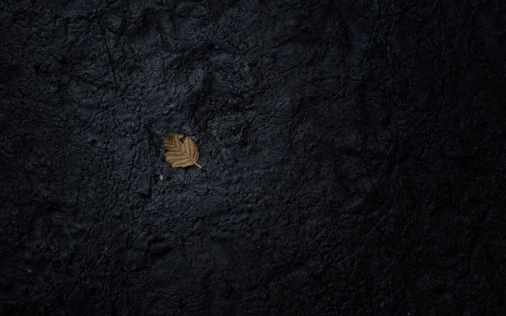  Black  Carbon  Wallpapers  Wallpaper  Cave