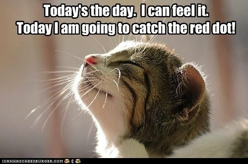 http://www.sunnyskyz.com/images/webpics/8s2nf-reddot.jpg