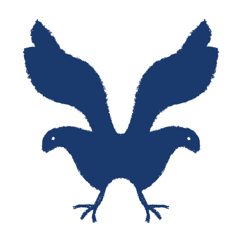 RIVER BIRD studio
