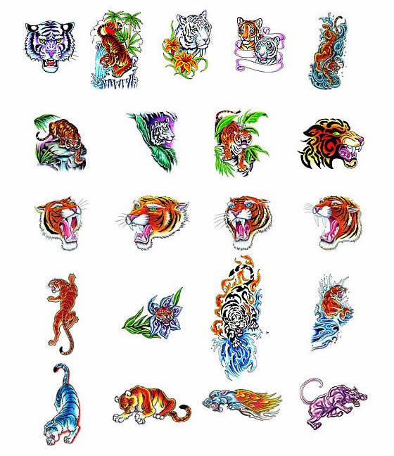 Baby Tiger Tattoos
