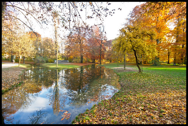 reflection in the English garden