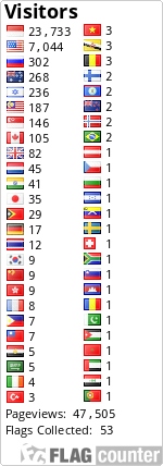 Flag Counter