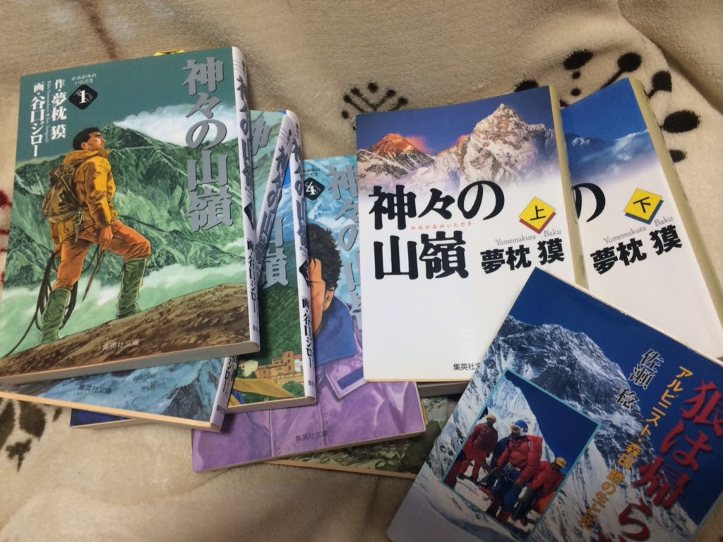 きっと観たくなる エヴェレスト 神々の山嶺 感想 四条通り週末 Com