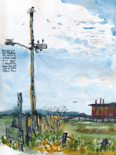 July 2013: Bay Lands