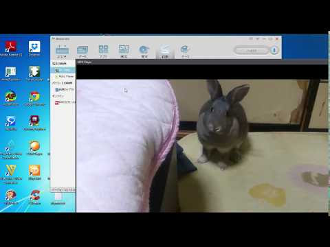 パズドラデータ 移し 方