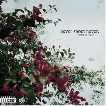 NeverShoutNever!-What Is Love? If You Like Backseat Goodbye, 