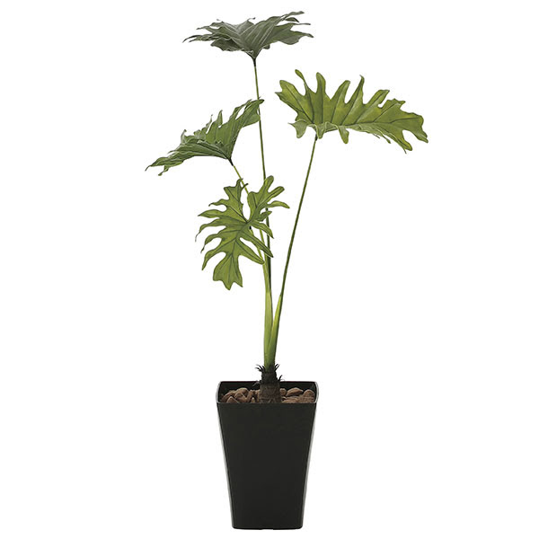 枯れない 抗菌 インテリア インテリア 観葉植物 贈り物 キッチン収納 光触媒 植物 イミテーショングリーン ギフト 観葉植物 人工観葉植物 祝い 消臭 記念日 母の日 高さ90cm グリーン スプリット90 おすすめ リビング Arne インテリア家具と雑貨 光触媒 観葉植物 枯れ