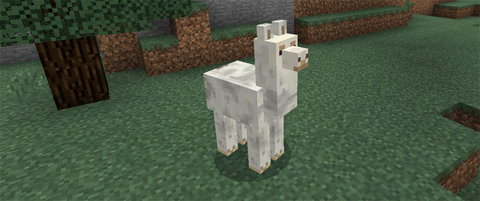 Llama Add On Behavior Pack Utk Io