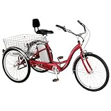 Currie Technologies iZIP Tricruiser Electric Tricycle