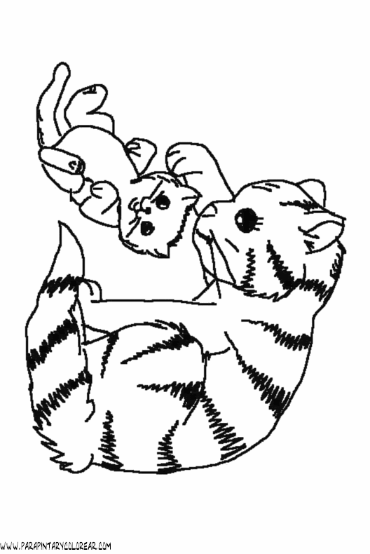 Dibujos Para Colorear De Los Leones Del Caracas Imagui