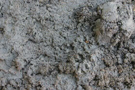how to break up hard clay soil - The organic matter will loosen the soil and improve drainage