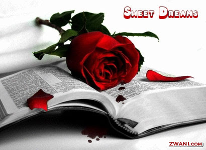 graphics Good Night Comments Orkut Linkedin ibibo Comments Orkut Comments
