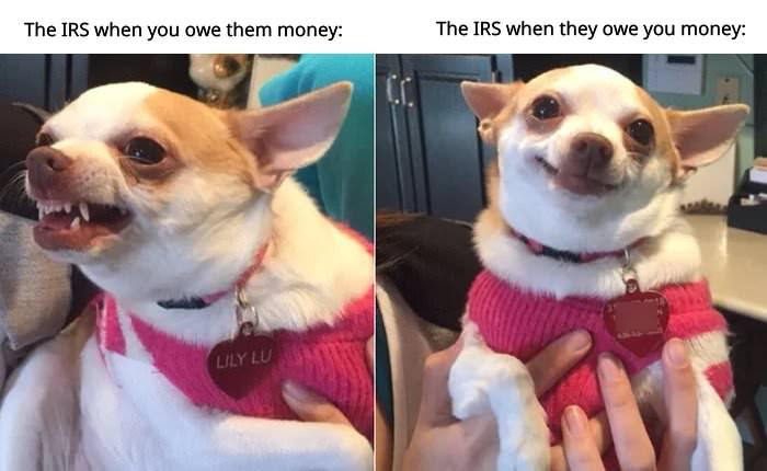 dailyhaha funny pictures