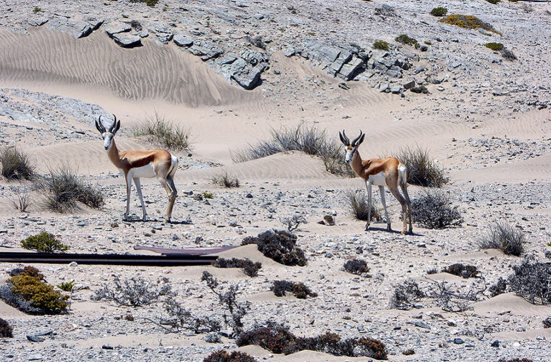 الحديقة الوطنية الممنوعة
