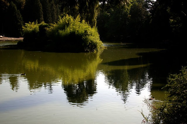 laurelhurst park, august '09