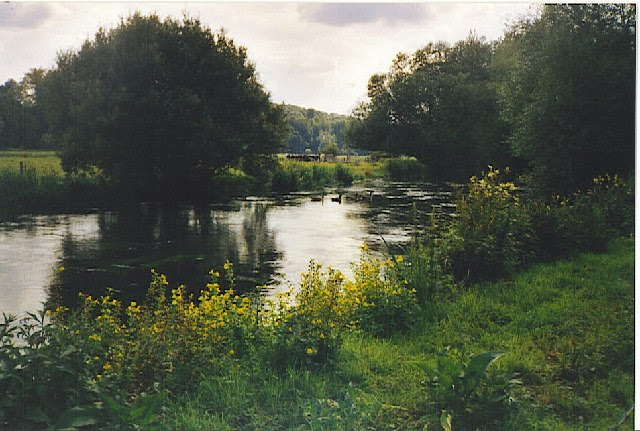 File:River Itchen - geograph.org.uk - 107948.jpg