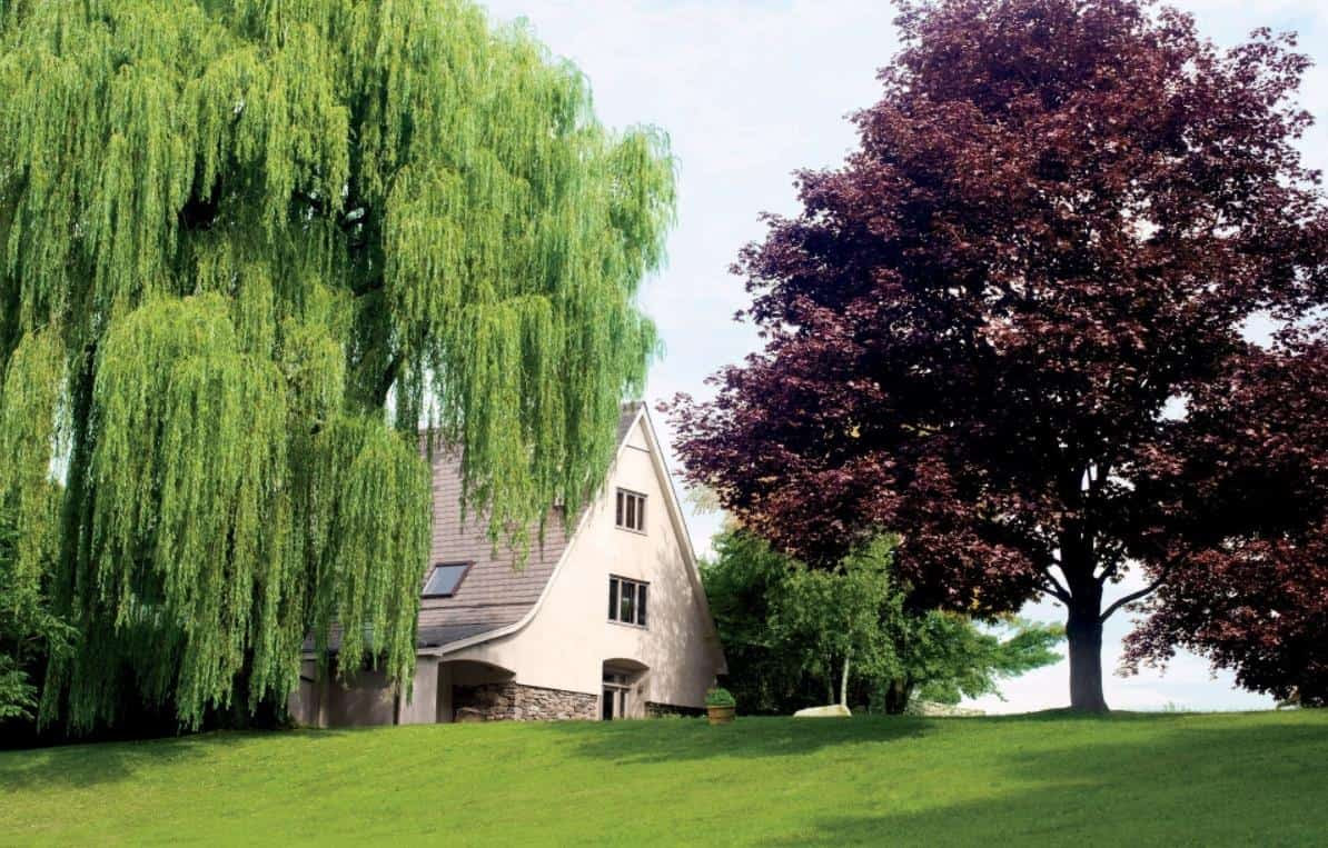 An old barn is non exactly the photograph of a comfy every bit good every bit extravagant household unit of measurement members ho Barn Conversions