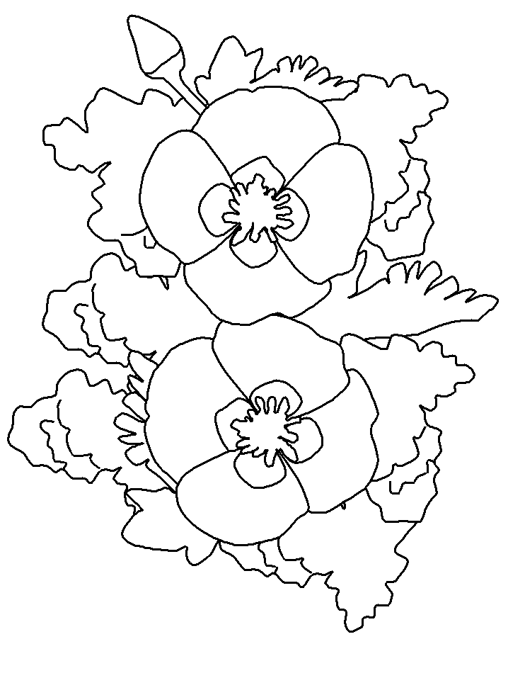 Fiori 4, Disegni per bambini da colorare