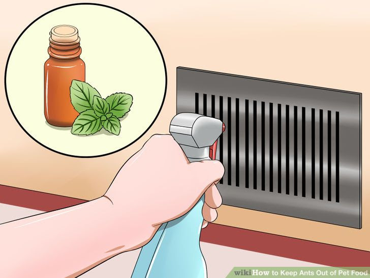Keep Ants Out of Pet Food Step 5 Version 3.jpg