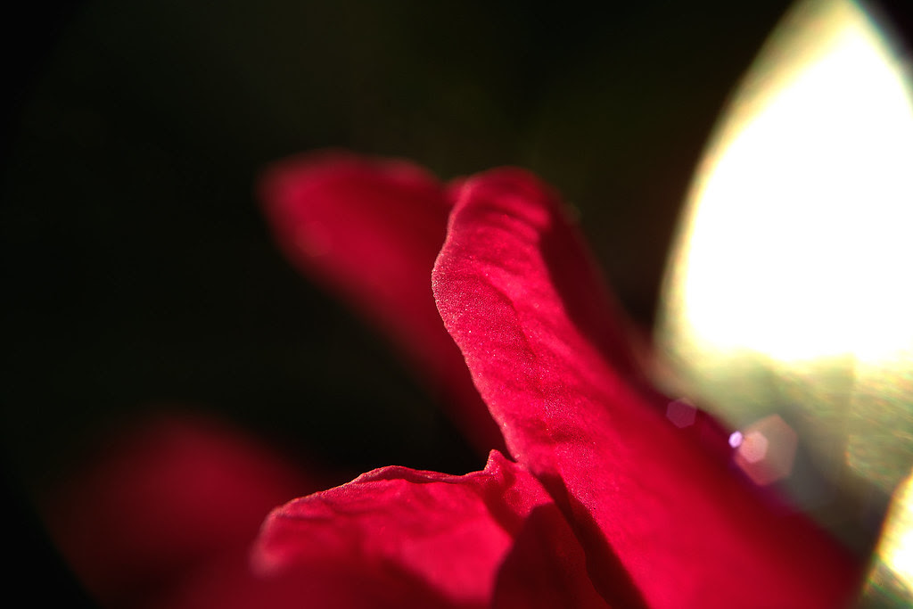 SDIM6908