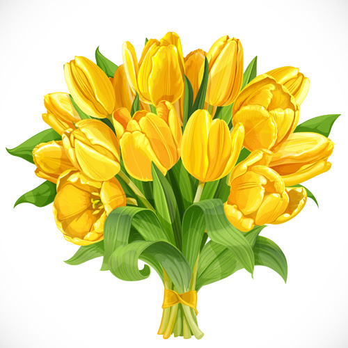 Download Beautiful yellow tulips vector - Vector Flower free download