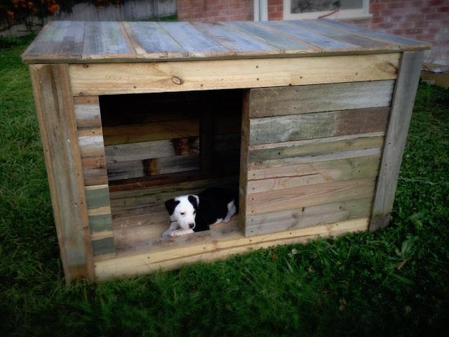 DIY Dog House Ideas For Crafty (And Not-So-Crafty) Dog Lovers