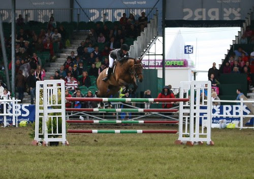 Showjumping