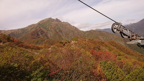 紅葉情報 スタッフブログ 谷川岳ロープウェー株式会社