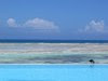 Infinity_pool_crow