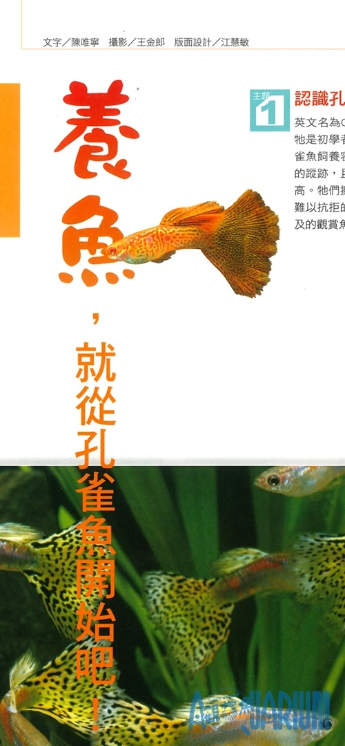 Azoo水族網 新增一篇孔雀魚初級入門的飼育資訊 年10月30日