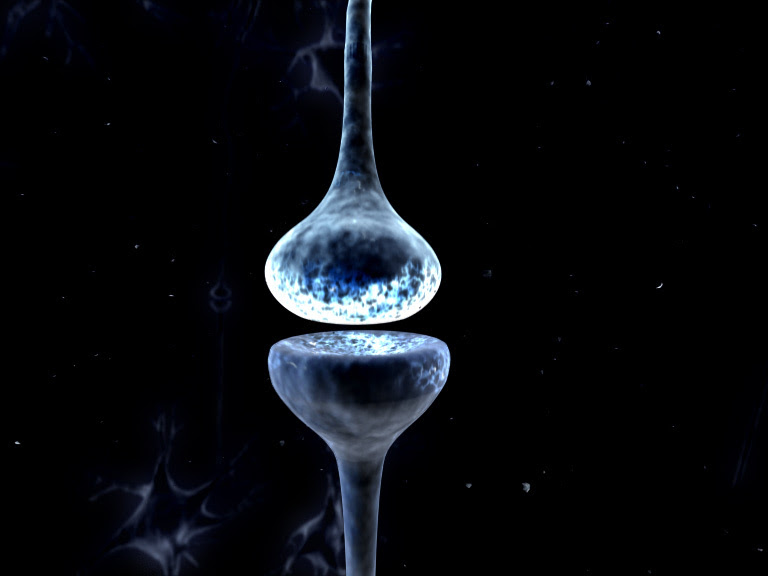 Synapse